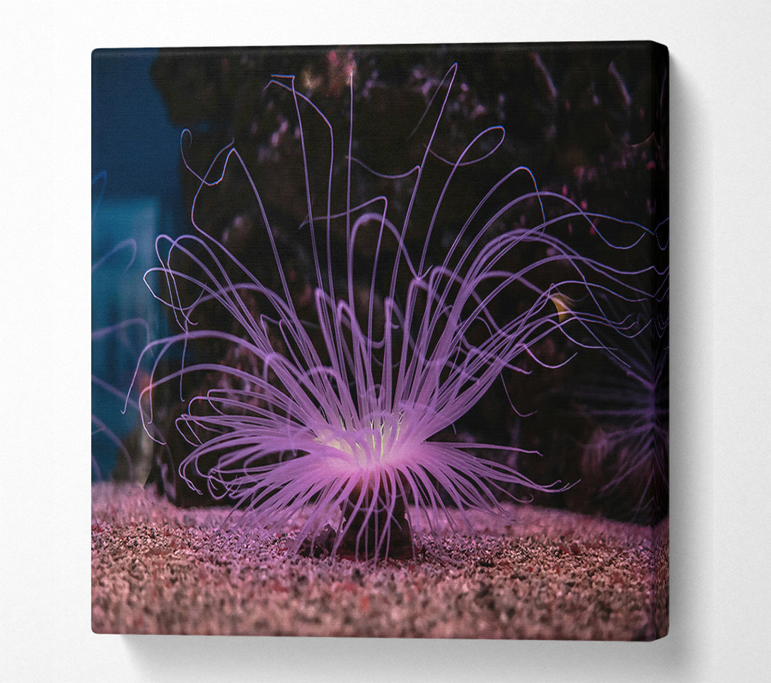  A Canvas Print of Lavender Sea Bloom Canvas Art