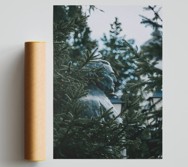 Green Through The Pines Print