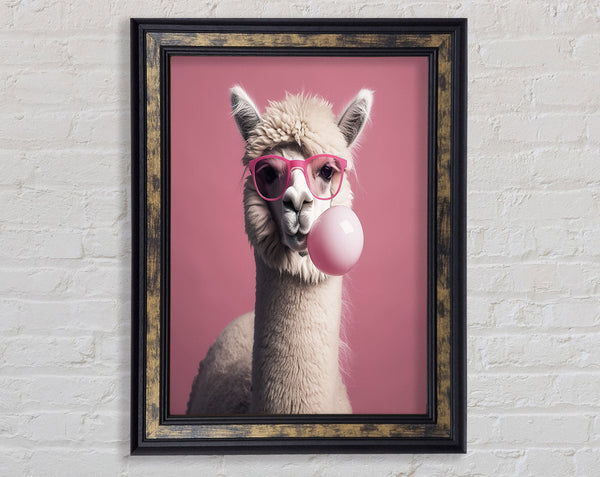 Alpaca Pink Bubble Gum Framed Print