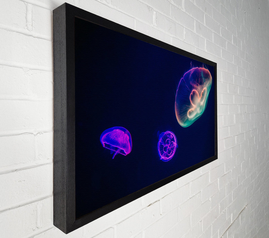  A Canvas Print of Neon Blue Jellyfish Canvas Wall Art