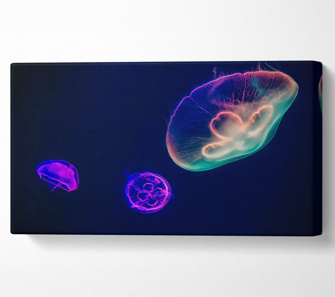  A Canvas Print of Neon Blue Jellyfish Canvas Wall Art