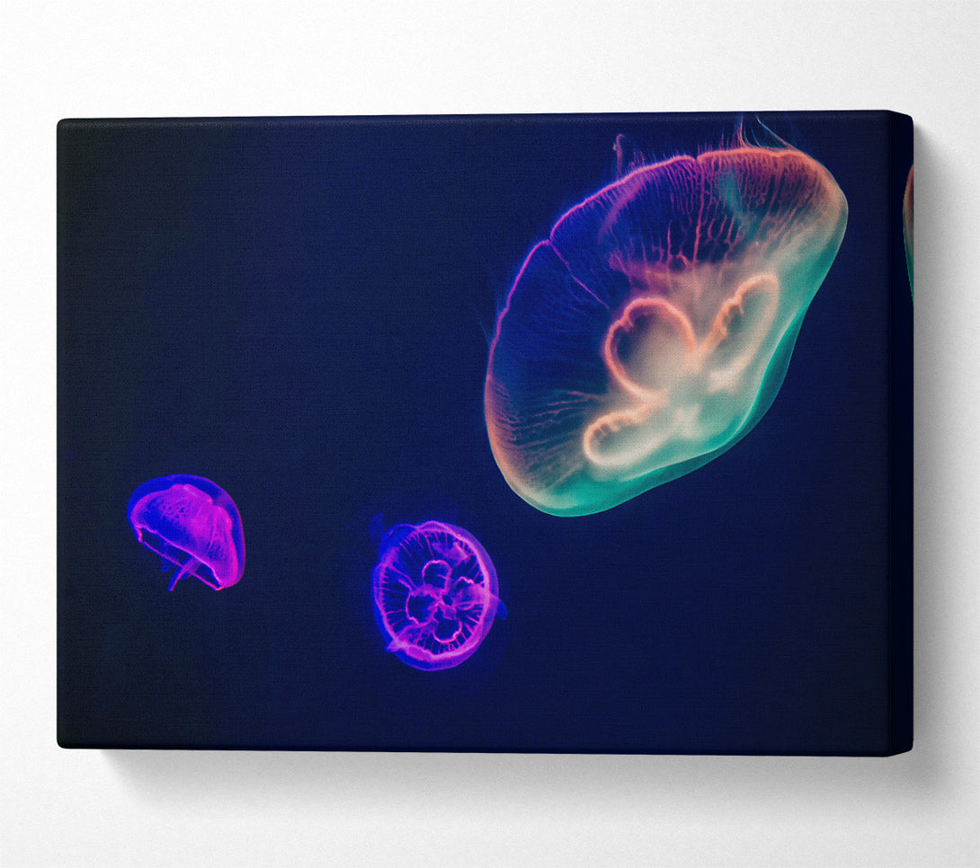  A Canvas Print of Neon Blue Jellyfish Canvas Wall Art