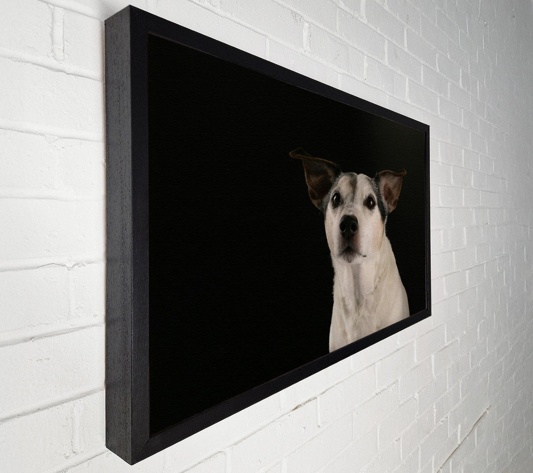  A Canvas Print of Black & White Wonder Canvas Print