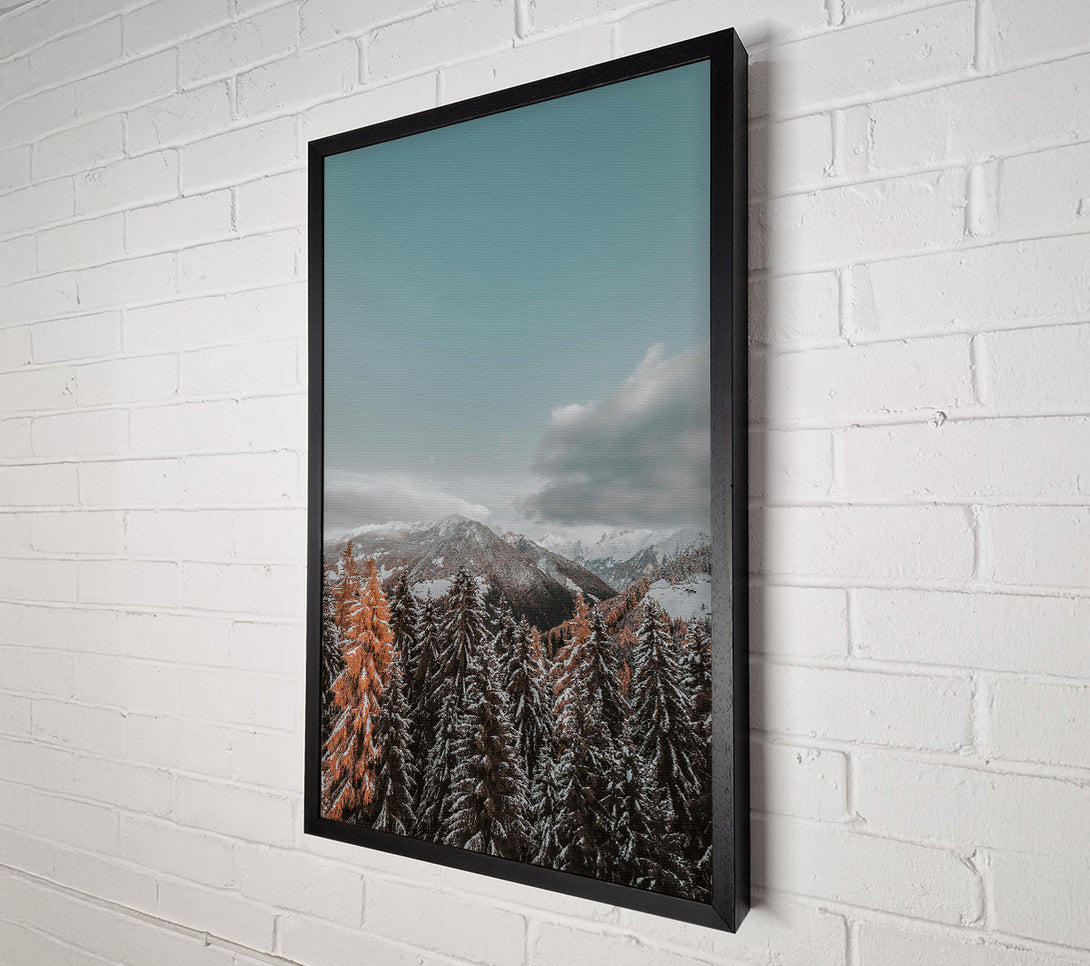  A Canvas Print of Orange Hues In Winter Canvas Print