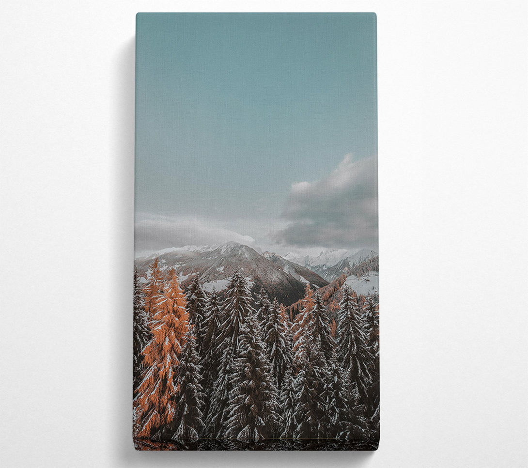  A Canvas Print of Orange Hues In Winter Canvas Print
