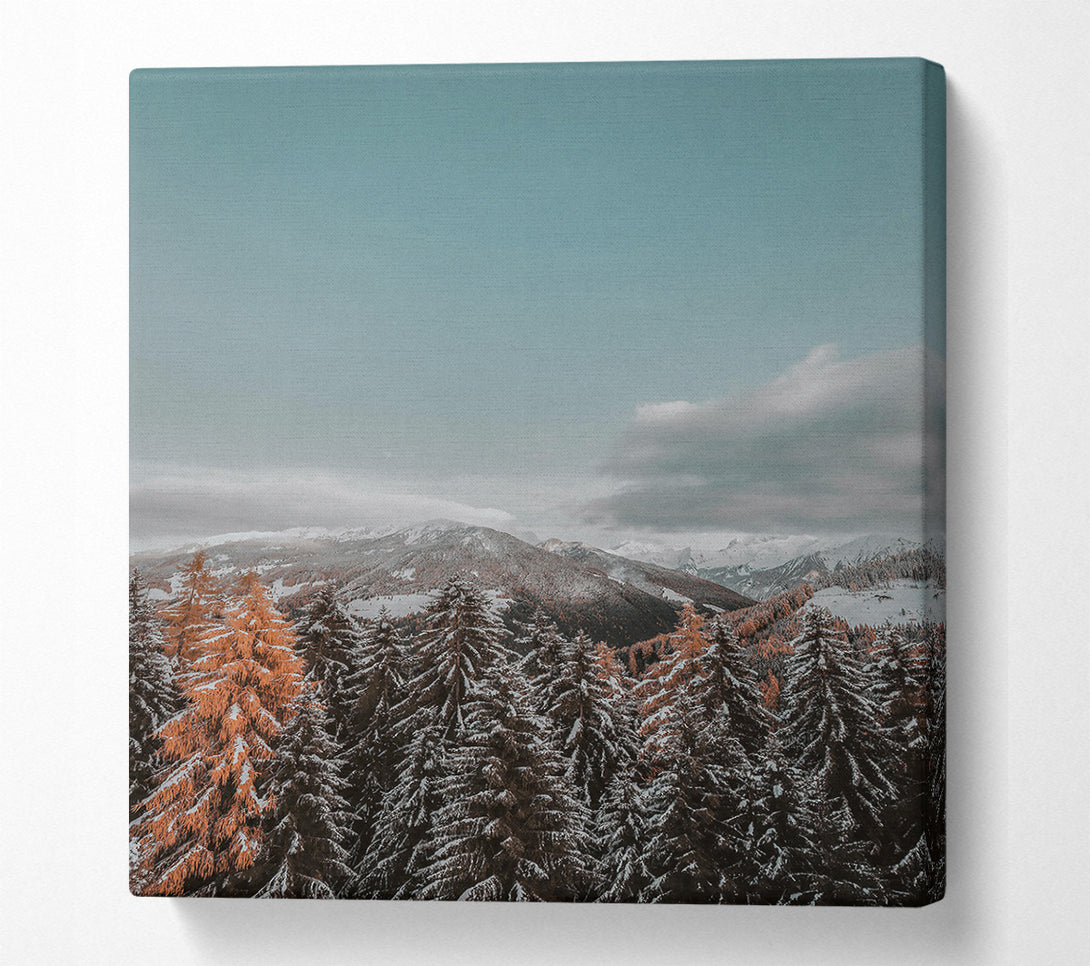  A Canvas Print of Orange Hues In Winter Canvas Print