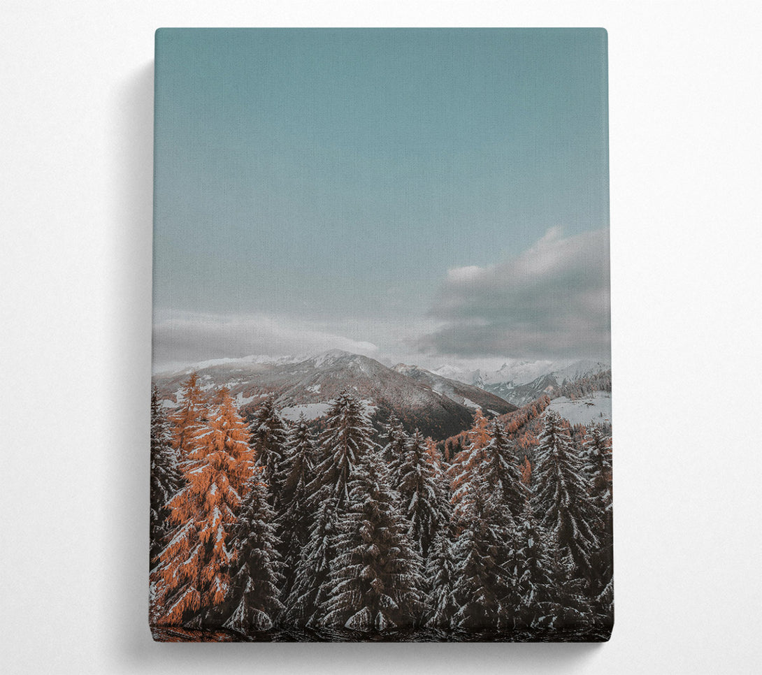  A Canvas Print of Orange Hues In Winter Canvas Print