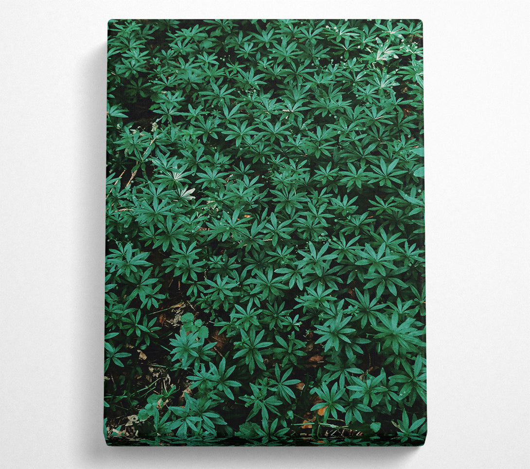  A Canvas Print of Emerald Green Carpet Canvas Print