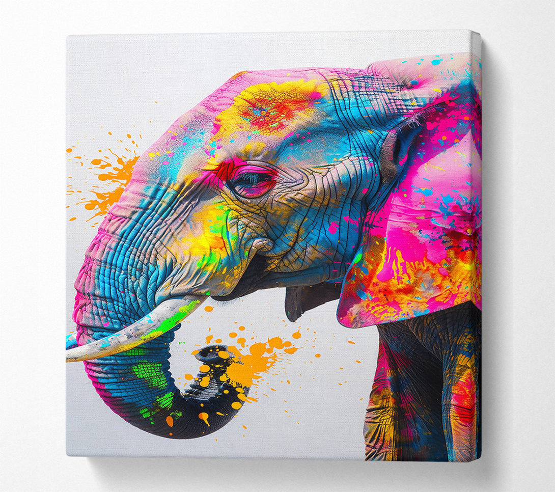  A Canvas Print of Orange Splashed Elephant Canvas Art