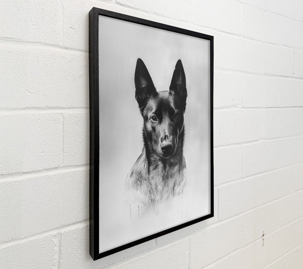 Black Dog Portrait