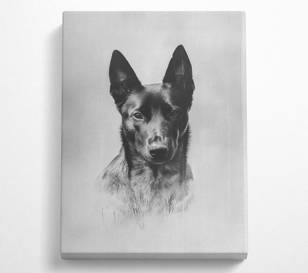  A Canvas Print of Black Dog Portrait Canvas Print