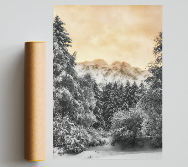 Golden Snowscape Pines Print