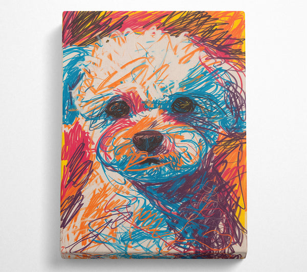 A Canvas Print of Blue Furry Gaze Canvas Art