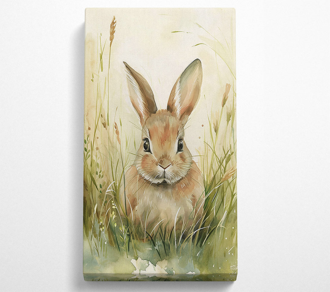  A Canvas Print of Brown Bunny In The Grass Canvas Print