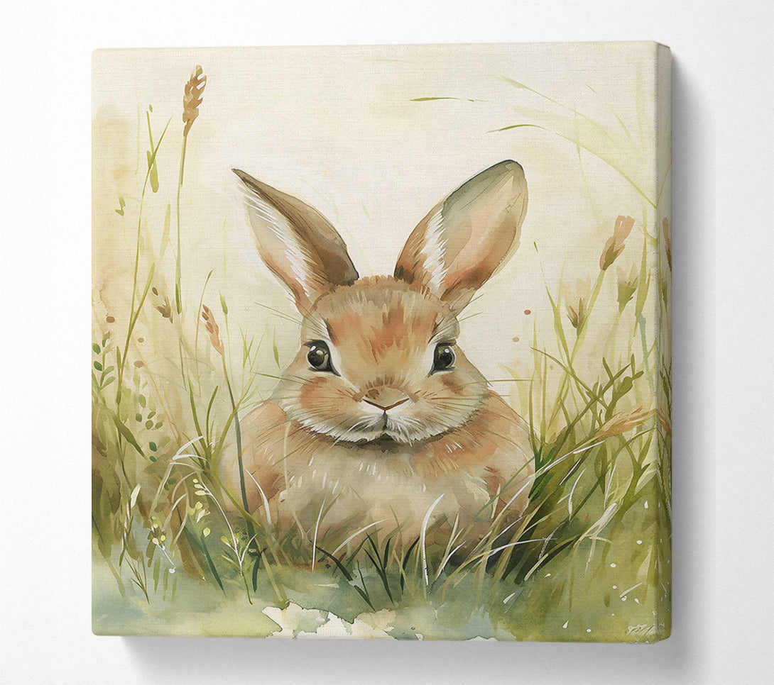  A Canvas Print of Brown Bunny In The Grass Canvas Print