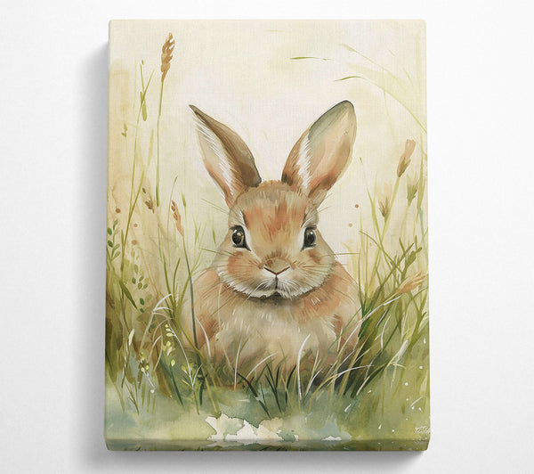  A Canvas Print of Brown Bunny In The Grass Canvas Print