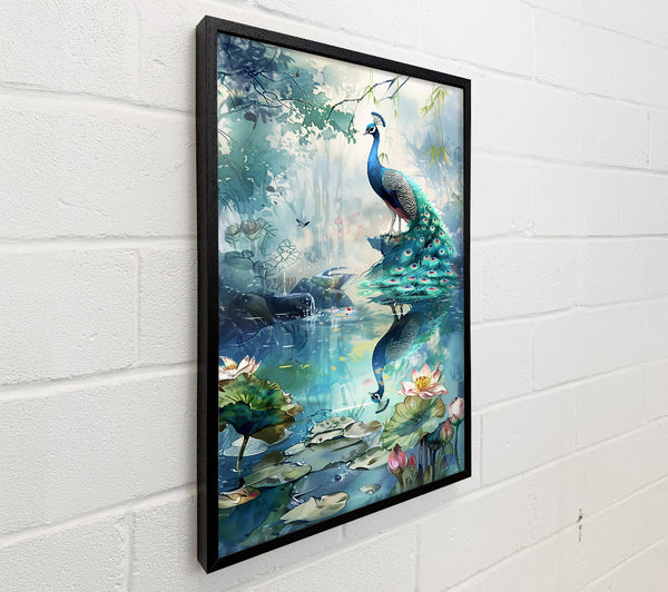 Blue Peacock Reflection