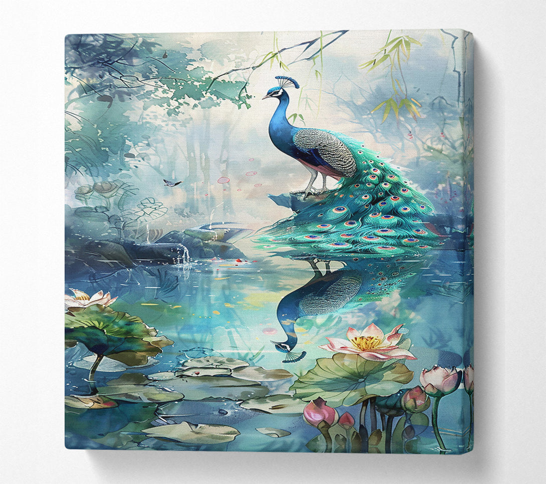  A Canvas Print of Blue Peacock Reflection Canvas Wall Art
