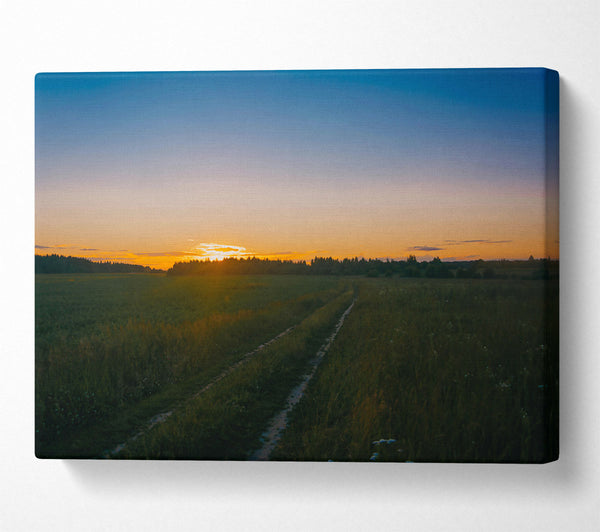  A Canvas Print of Golden Hour Path Canvas Wall Art