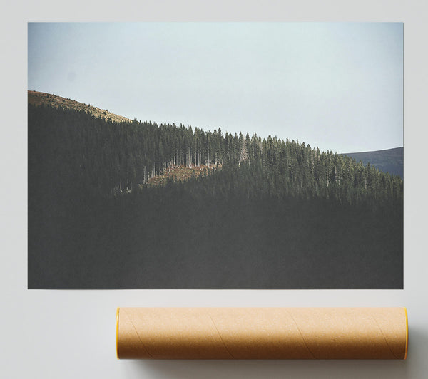 Green Ridge Shadows Poster