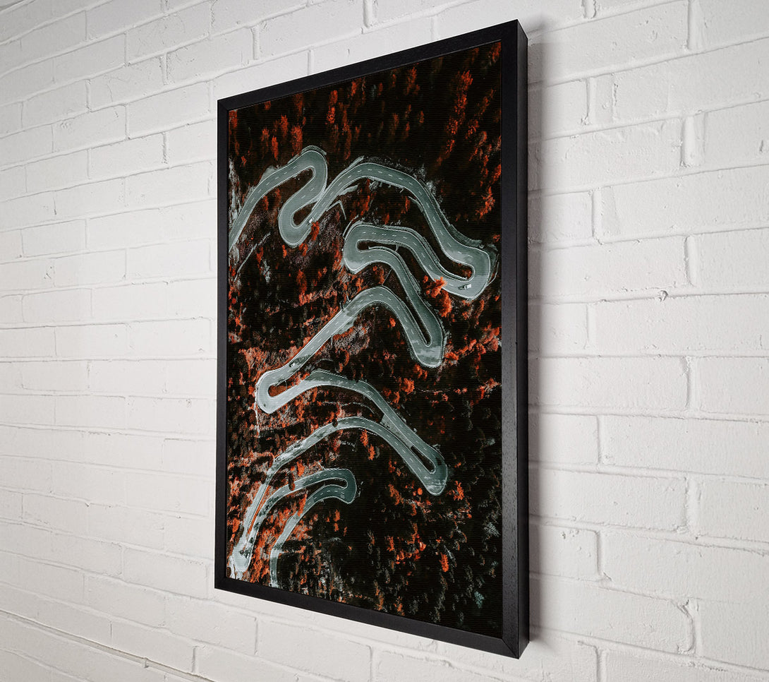  A Canvas Print of Orange Forest Road Canvas Wall Art