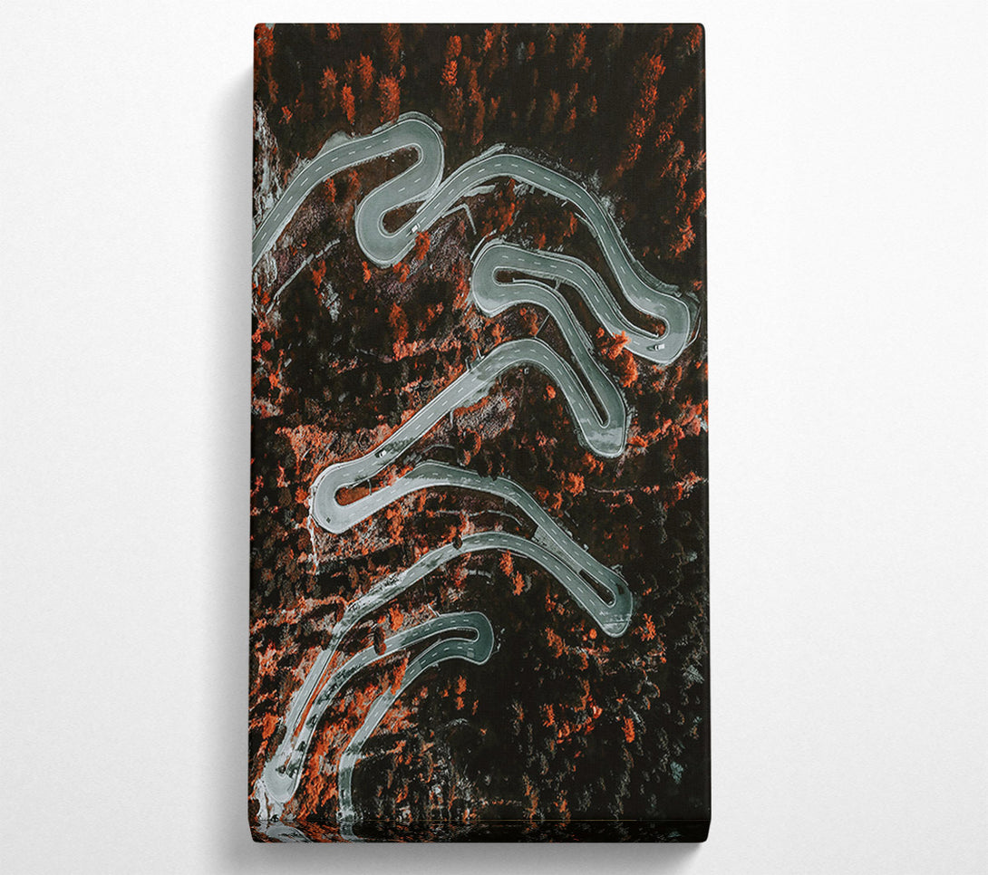  A Canvas Print of Orange Forest Road Canvas Wall Art