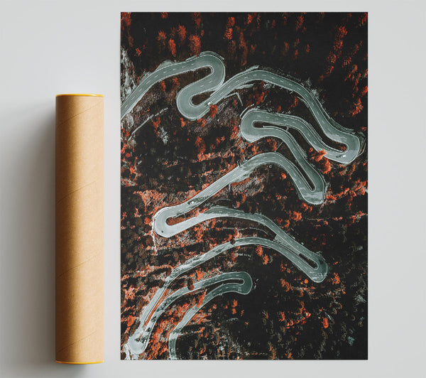 Orange Forest Road Print