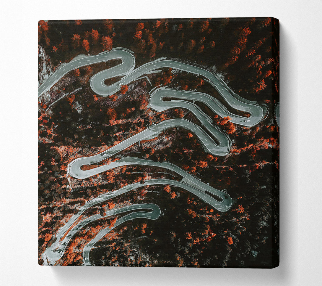  A Canvas Print of Orange Forest Road Canvas Wall Art