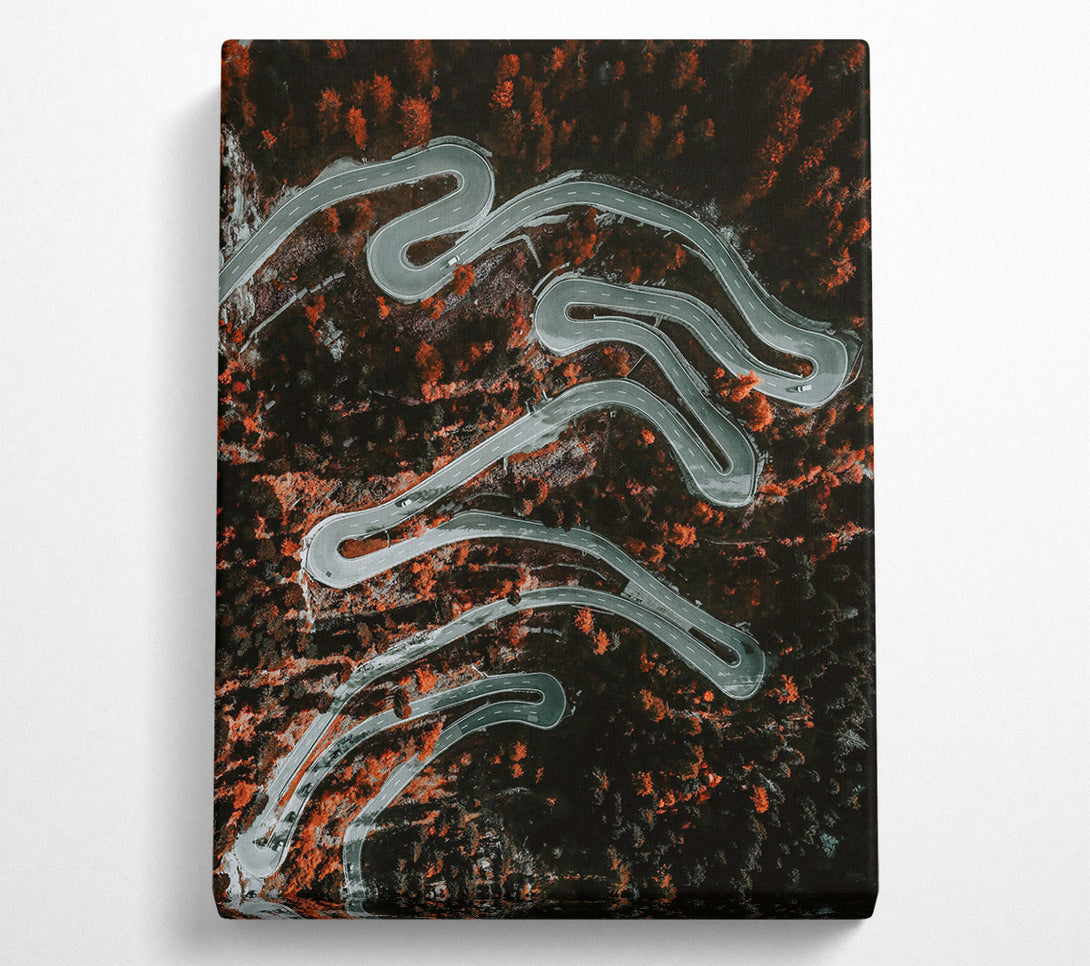  A Canvas Print of Orange Forest Road Canvas Wall Art