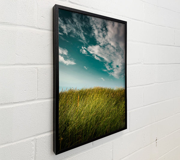Teal Sky Grassland