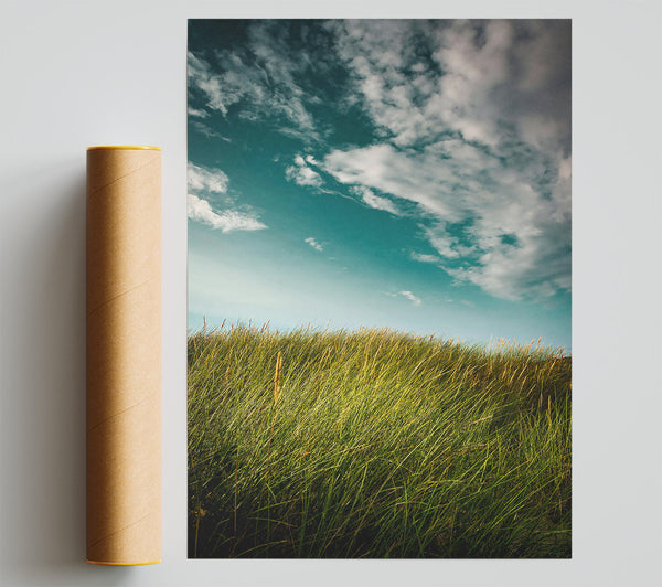 Teal Sky Grassland Print