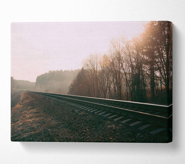  A Canvas Print of Golden Tracks Ahead Canvas Print