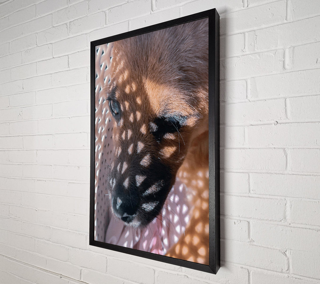  A Canvas Print of Golden Light Pup Canvas Wall Art