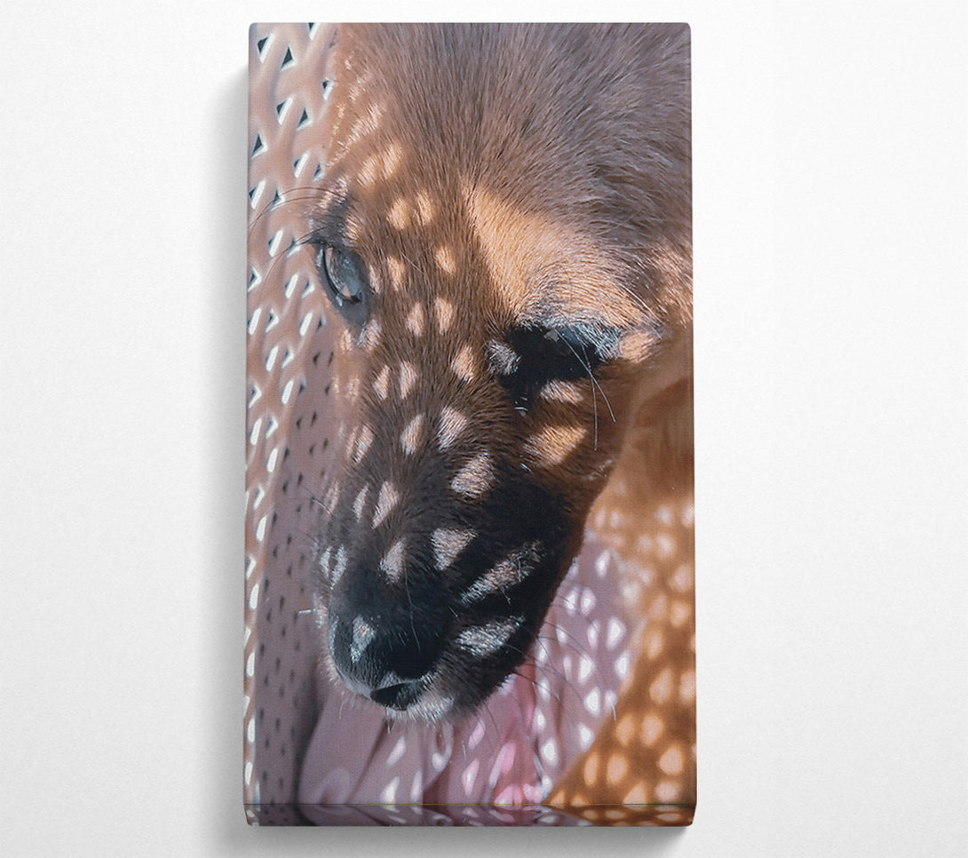  A Canvas Print of Golden Light Pup Canvas Wall Art