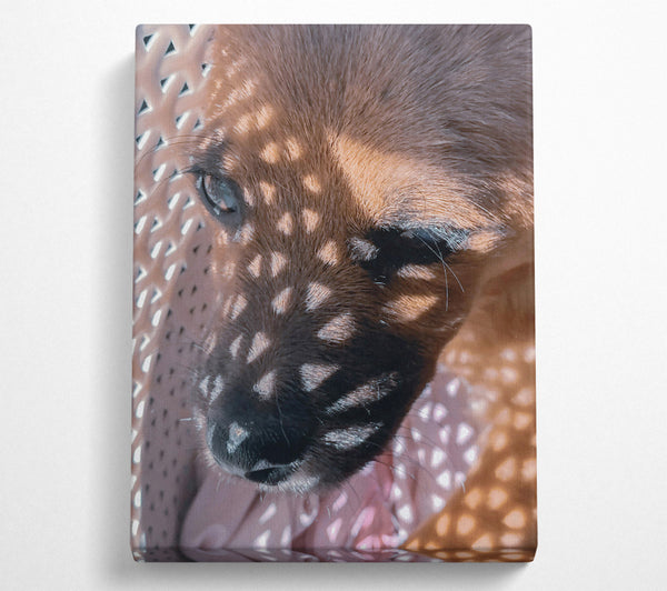  A Canvas Print of Golden Light Pup Canvas Wall Art