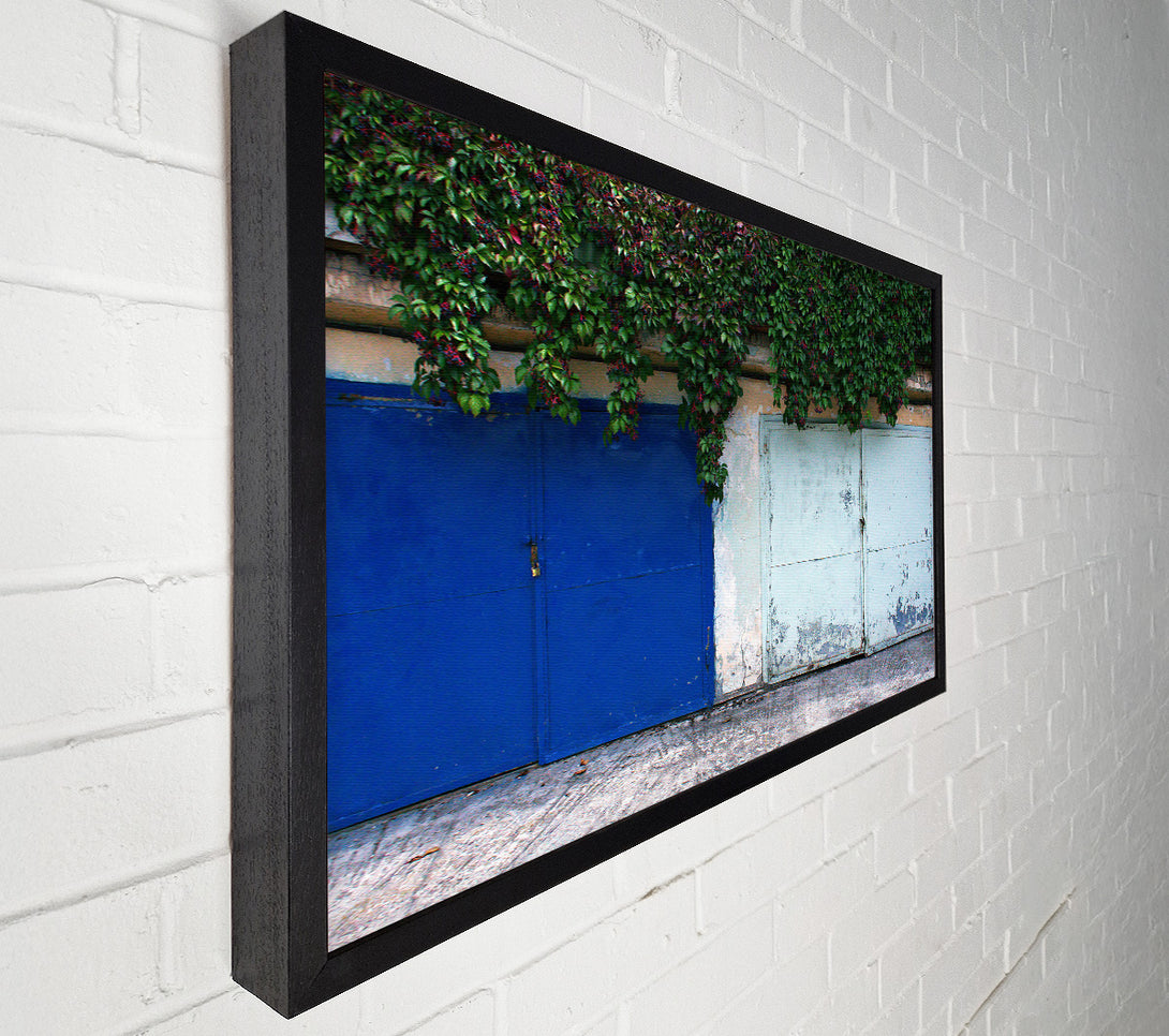  A Canvas Print of Blue Door And Vines. Canvas Wall Art