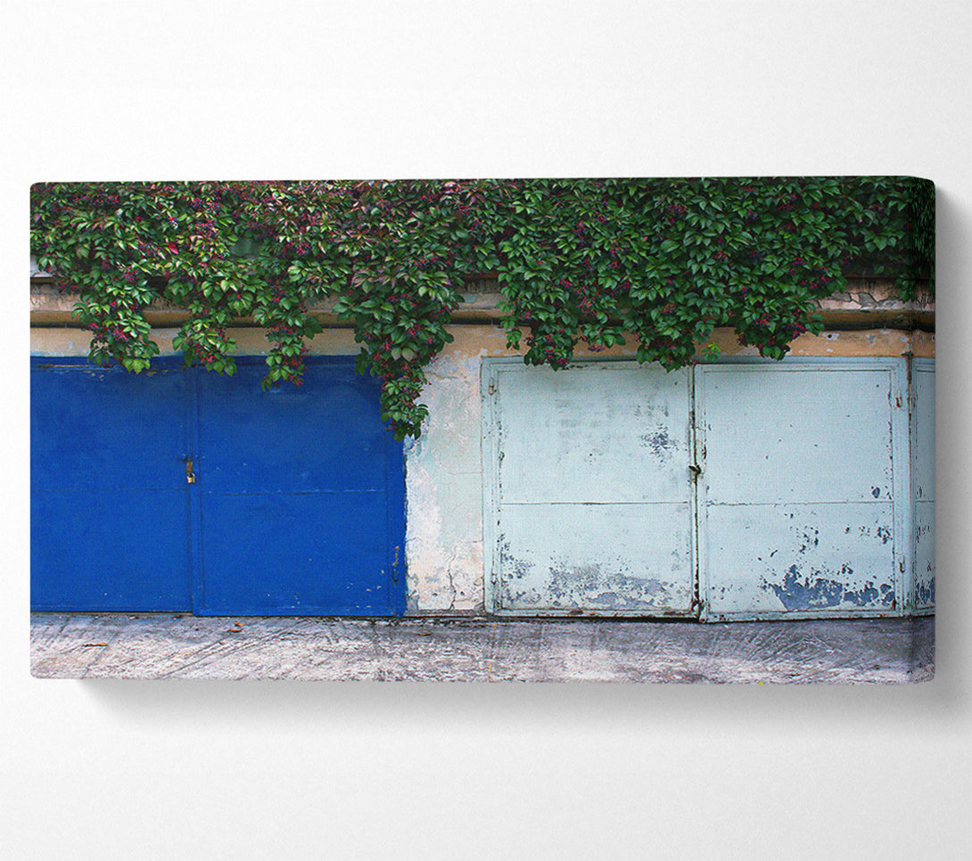  A Canvas Print of Blue Door And Vines. Canvas Wall Art