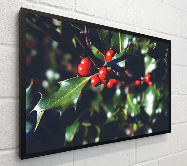 Crimson Holly Sprig