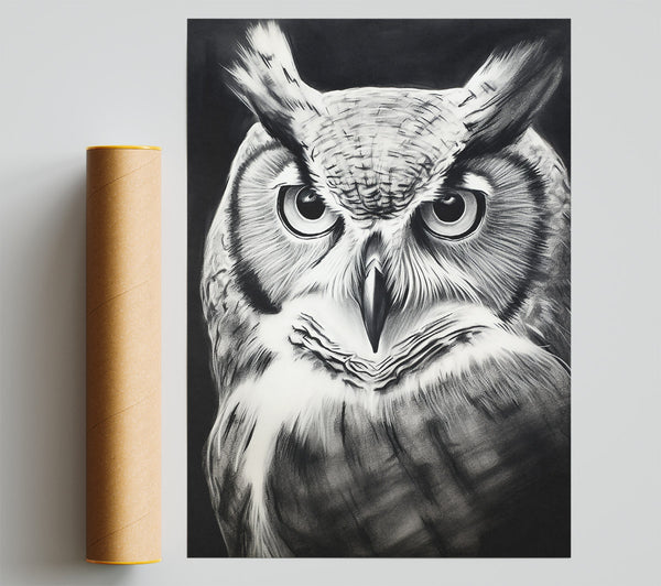 Black And White Owl Gaze Print