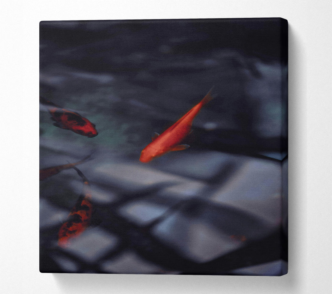  A Canvas Print of Crimson Fish Dreams Canvas Print