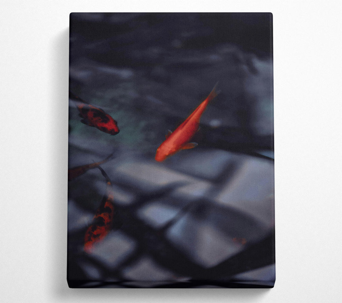  A Canvas Print of Crimson Fish Dreams Canvas Print