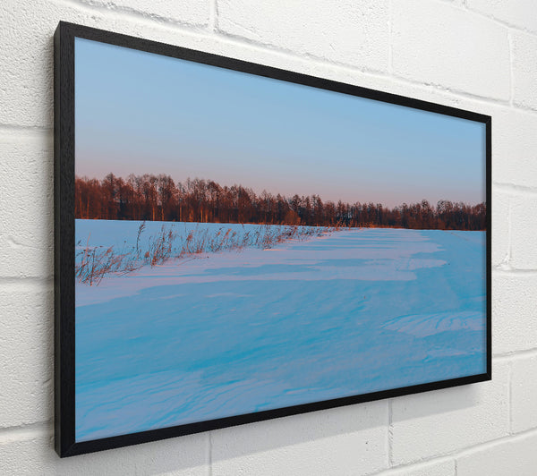 Blue Winter Field