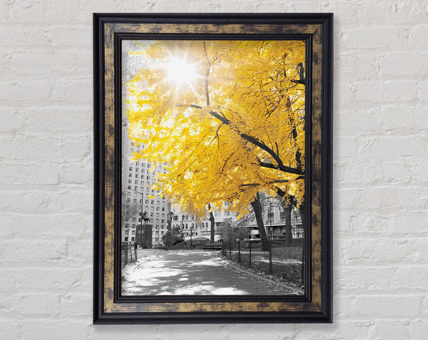Autumn Sun Framed Print