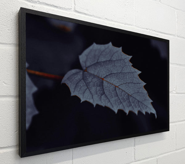 The Gray Leaf'S Veins