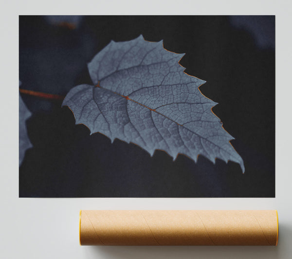 The Gray Leaf'S Veins Print