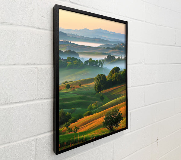 Golden Hills Mist