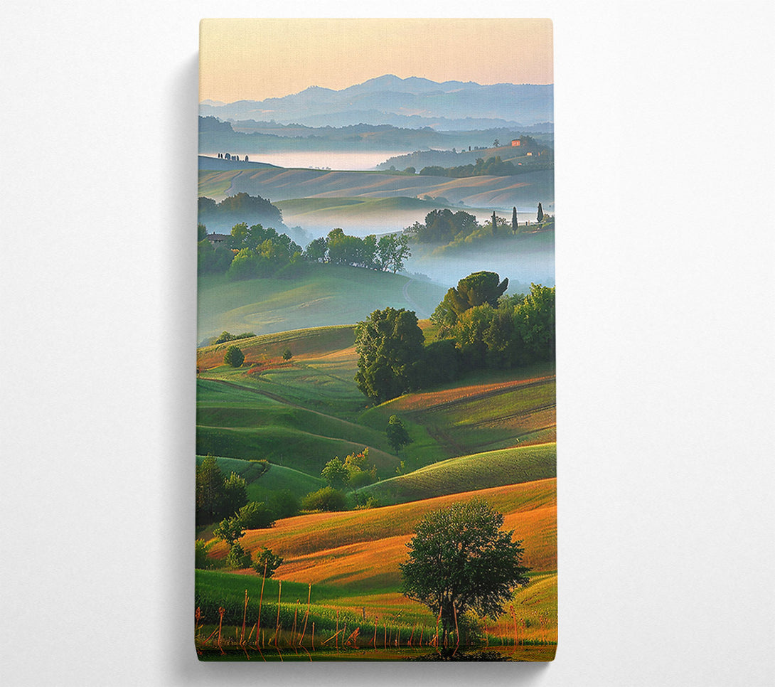  A Canvas Print of Golden Hills Mist Canvas Wall Art
