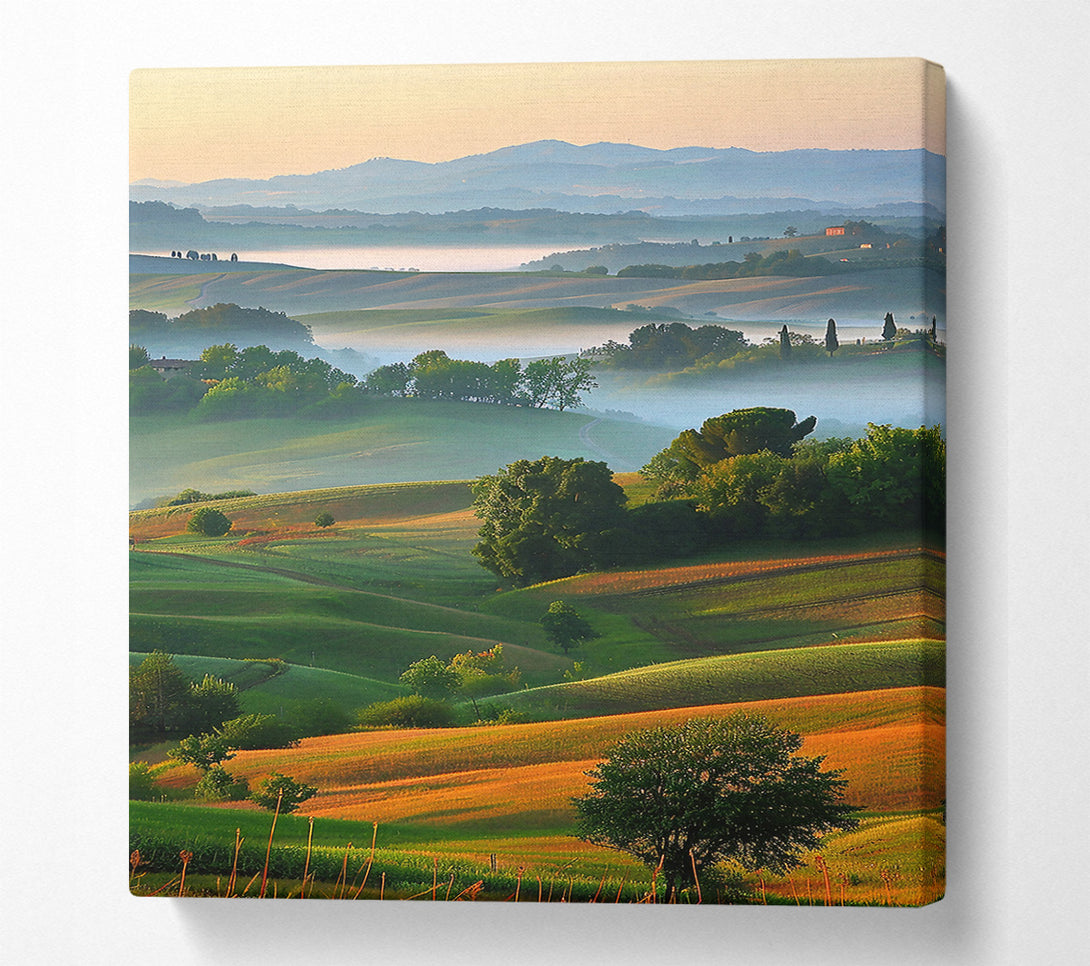  A Canvas Print of Golden Hills Mist Canvas Wall Art