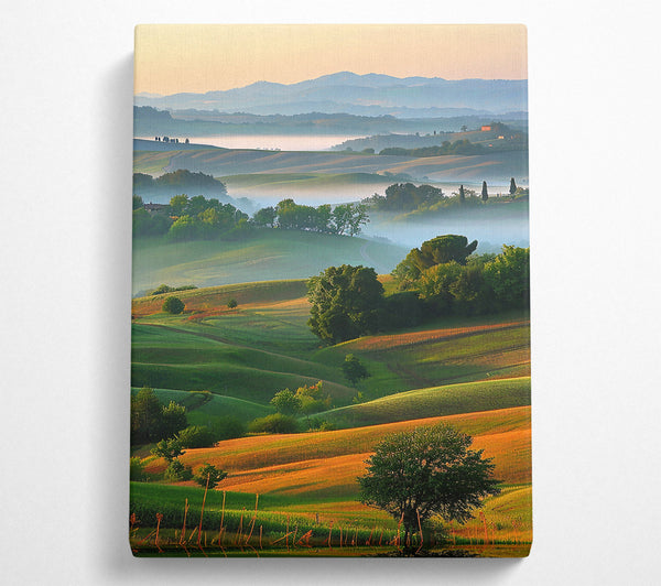  A Canvas Print of Golden Hills Mist Canvas Wall Art
