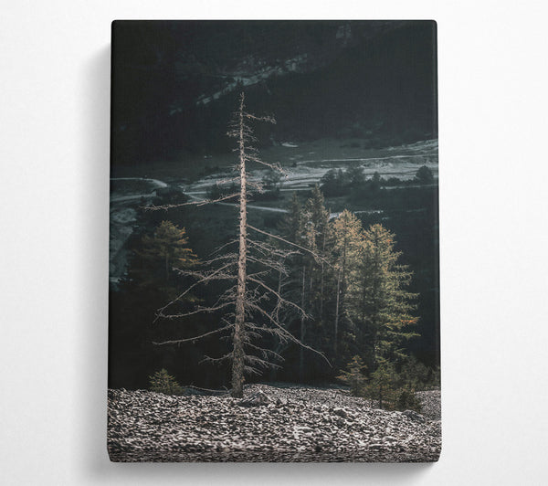  A Canvas Print of Gray Sky Silhouette Canvas Art